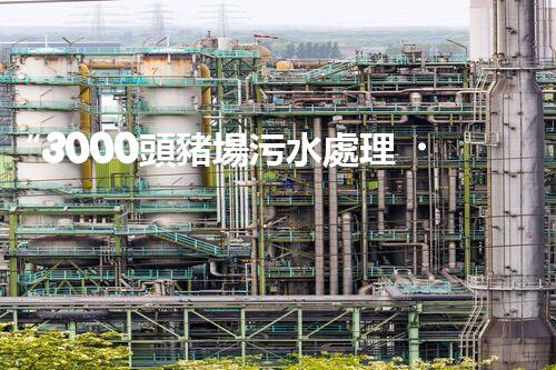 “3000頭豬場污水處理，綠色環(huán)保新篇章！”